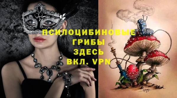 mix Вяземский