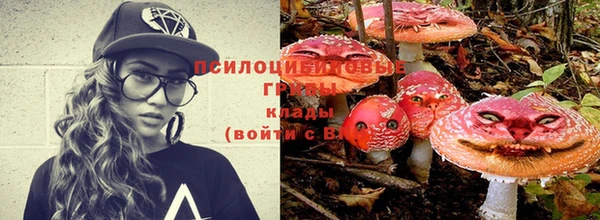 скорость Вязьма