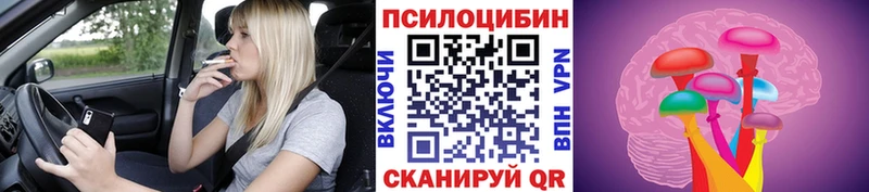 Купить  Кострома  Псилоцибиновые грибы MAGIC MUSHROOMS 